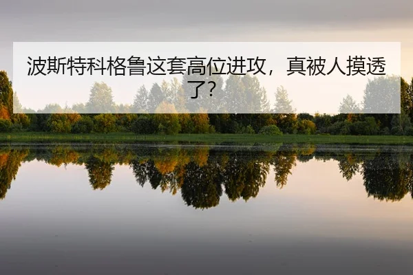 bo-si-te-ke-ge-lu-zhe-tao-gao-wei-jin-gong-zhen-bei-ren-mo-tou-le-2-161.jpg